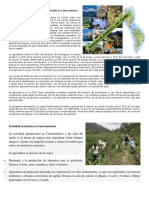 Actividades Productivas y Recursos Naturales en Centroamérica