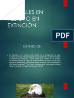 Animales en Peligro en Extinción