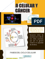 Ciclo Celular y Cáncer