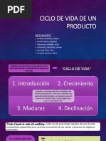 El Producto en Un Proyecto