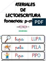 Autodictados P M L S T PDF