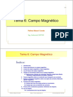 Campo Magnetico