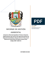 Informe de Gestion Ambiental - Yaso