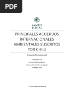 Acuerdos Ambientales Internacionales Suscritos Por Chile Def