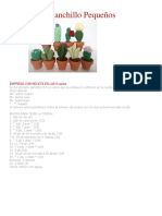 Cactus Modelos PDF