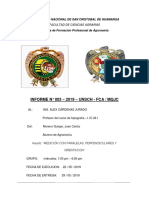 Informe 03 de Topo 2019