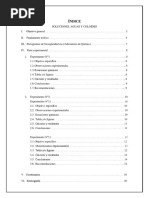 Informe 10