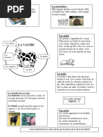 AdminLB-carte Identite de La Vache PDF