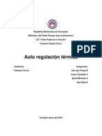 Auto Regulación Térmica