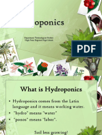 Hydroponics High Point