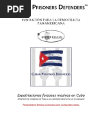 Expatriaciones Cuba - Comunicación Procedimiento Especial Naciones Unidas