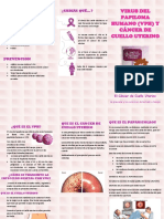 Triptico VPH