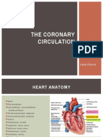 The Coronary Circulation