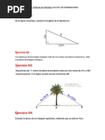 Ejercicios Resueltos, PITAGORAS