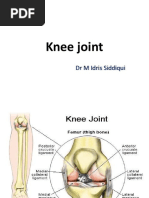 Femerotibial Joint