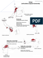 Anexa 2 Biomecanica