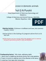 Lecture 8 Uterine Torsion in Domestic Animals