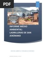 Informe Medio Ambiental