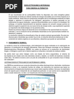 Bioelectroquimica Microbiana