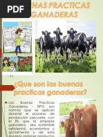 Buenas Practicas Ganaderas