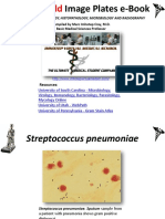 High Yield Image Plates Gross - Patholog PDF