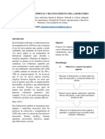 Informe Laboratorio Biología Molecular