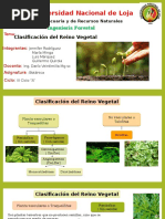 Clasificacion Del Reino Vegetal Tercero Forestal 08-11-2018