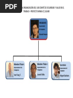 Organigrama Del Sub Comite