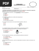 Prueba Coef 2 Ciencias 2019 Respuestas