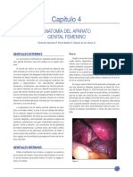 Anatomía PDF