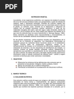 Informe Final Nutricion