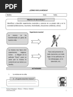 Tercero Basico