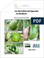 Manual Del Aguacate