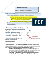 Chapter 22 Notes Respiratory System