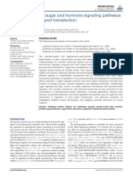 Interplay Between Sugar and Hormone Signaling Pathways Modulate Floral Signal Transduction