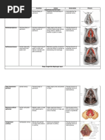 Anatomy and Physiology