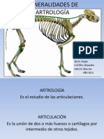 Generalidades de Artrología