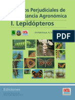 Lepidopteros