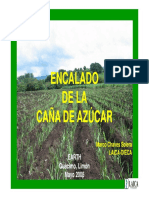 PP-Encalado de La Caña de Azúcar-2005