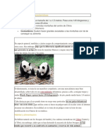 El Oso Panda y Sus Características