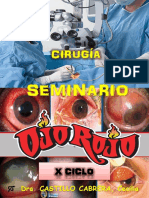 Seminario de Ojo Rojo