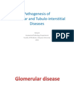 PATHO Glomerular and Tubulointerstitial Disease