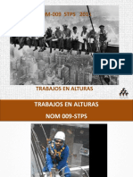 Nom-009-Stps Trabajos en Alturas