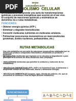 Síntesis y Almacenamiento de Atp