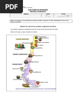 Guia Pueblos Originarios Nómades y Sedentarios