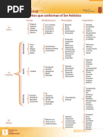 Elementos Conforman Ser Holilistico