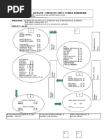 Lista de Chequeo Grua