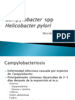 C 14 Campylobacter y Helicobacter