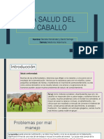 La Salud Del Caballo