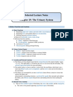 Selected Lecture Notes Chapter 25: The Urinary System: I. Kidney Functions and Anatomy